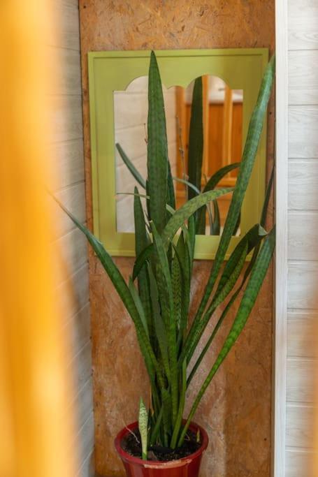 La Maisonnette Etape De Saint-come D'olt Ferienhaus
